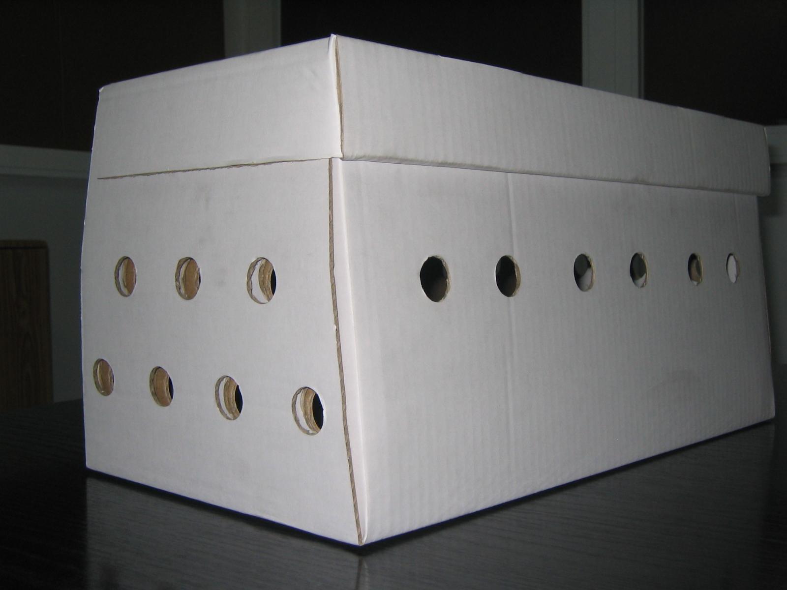 caja grande para animales