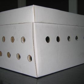 caja grande para animales