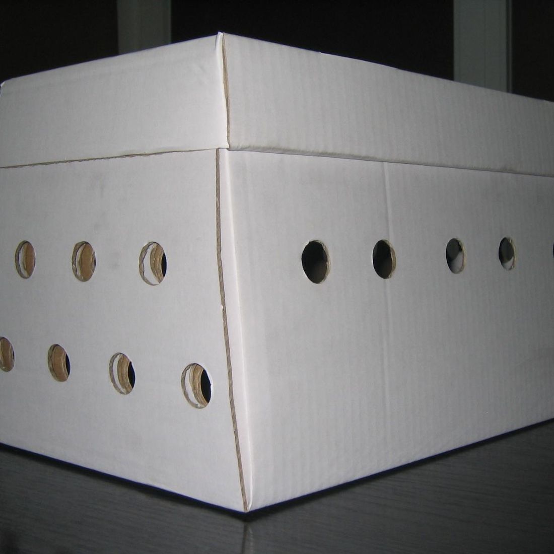 caja grande para animales