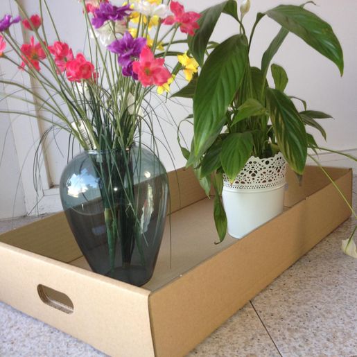 caja bandeja