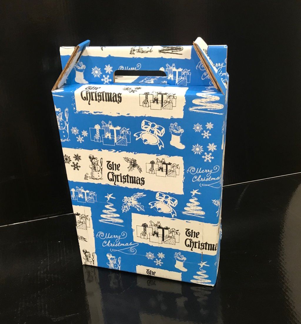 caja para 2 botella