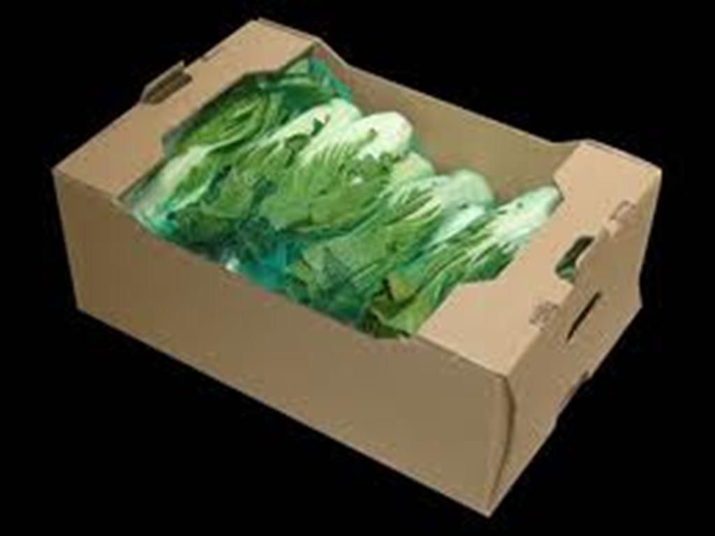caja lechuga 