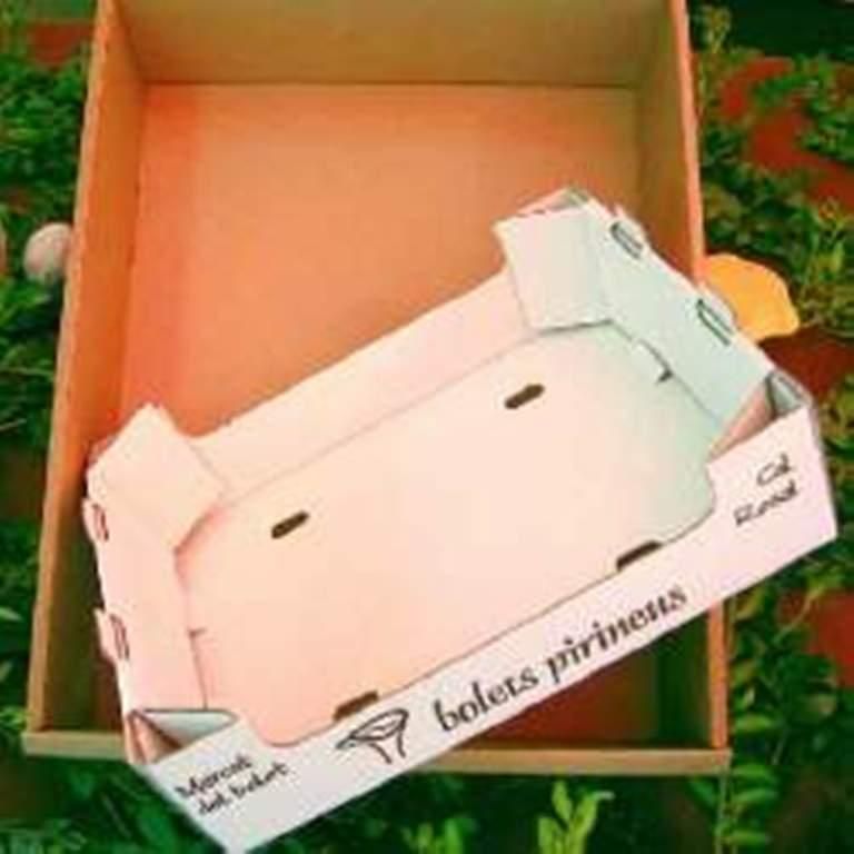 caja para verduras