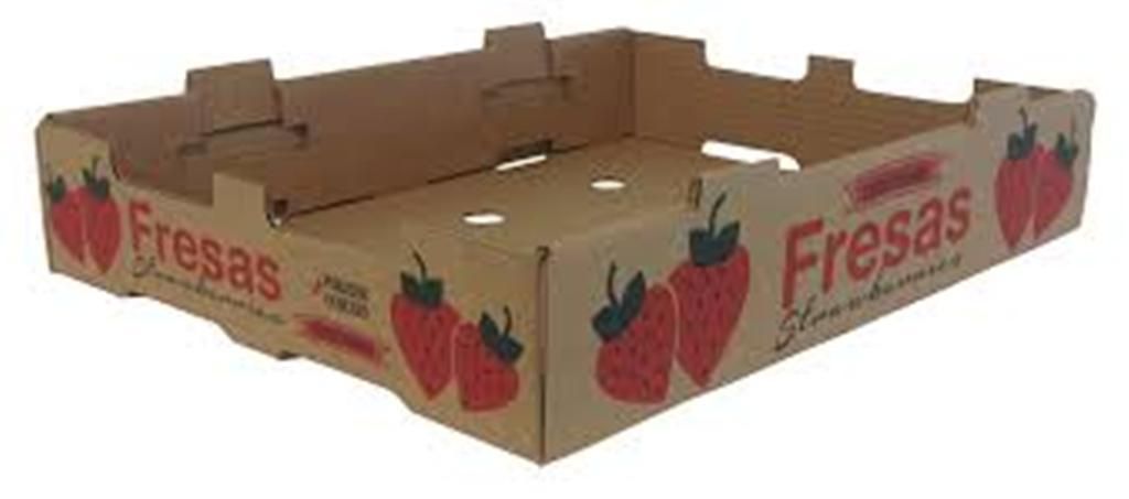 caja para fresa