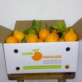 caja para naranja 